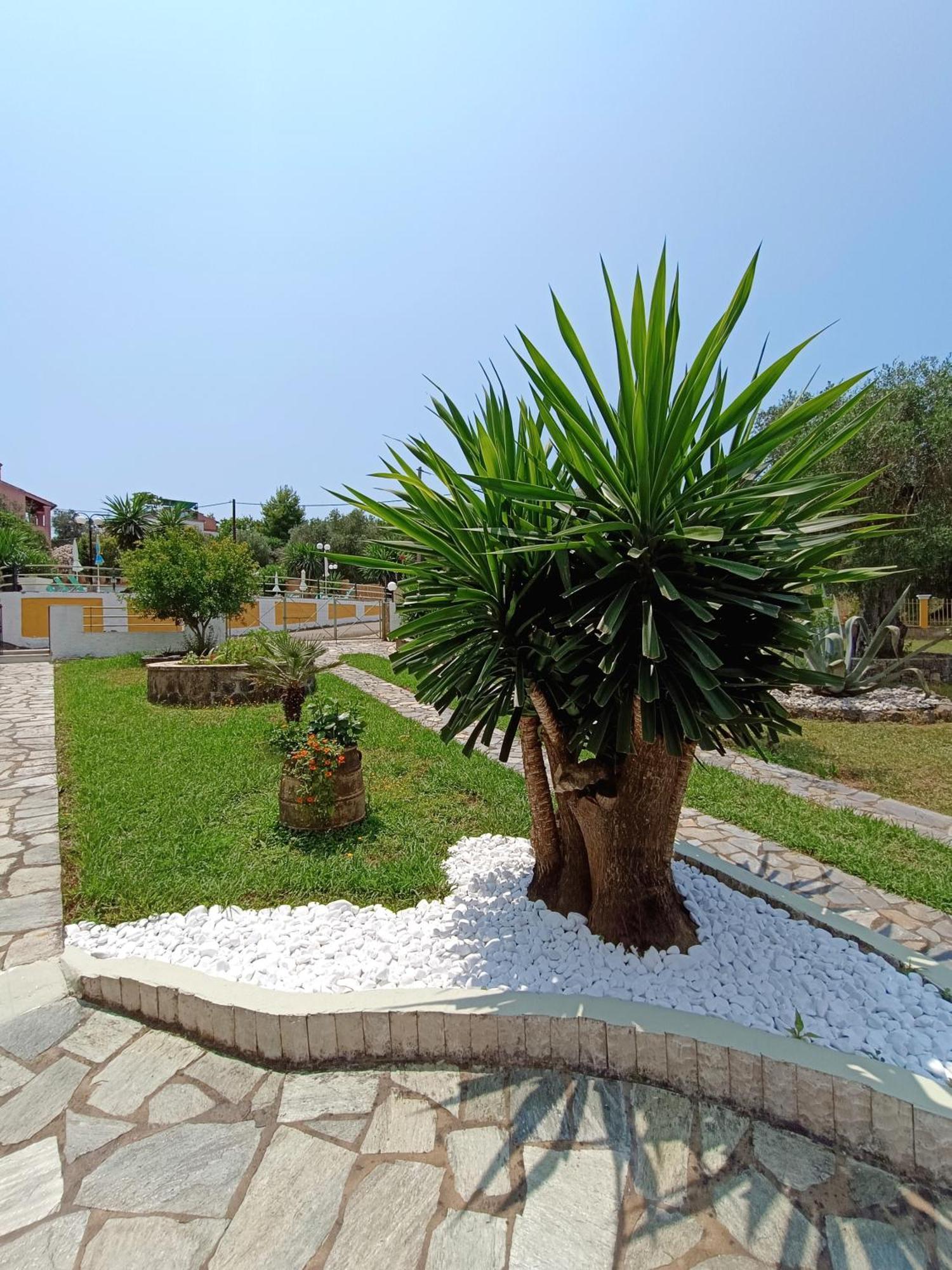Villa Marinos Като-Коракиана Экстерьер фото